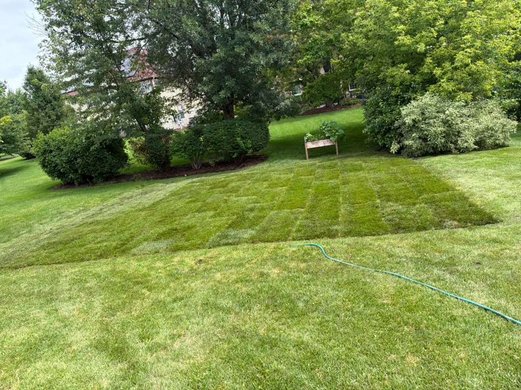 Landscaping